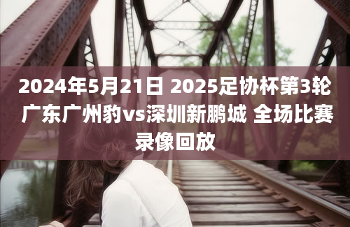 2024年5月21日 2025足协杯第3轮 广东广州豹vs深圳新鹏城 全场比赛录像回放