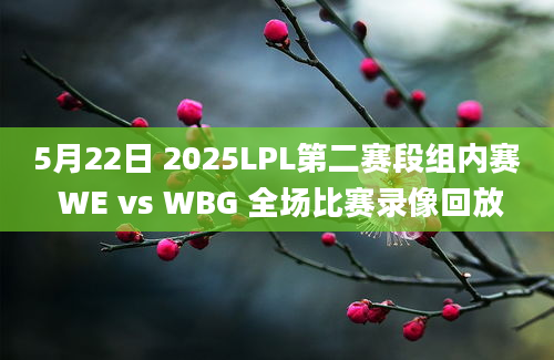 5月22日 2025LPL第二赛段组内赛 WE vs WBG 全场比赛录像回放