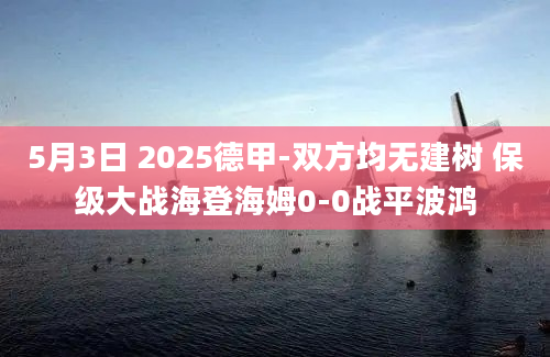 5月3日 2025德甲-双方均无建树 保级大战海登海姆0-0战平波鸿