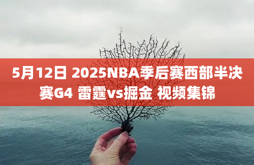 5月12日 2025NBA季后赛西部半决赛G4 雷霆vs掘金 视频集锦