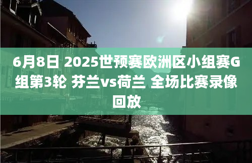 6月8日 2025世预赛欧洲区小组赛G组第3轮 芬兰vs荷兰 全场比赛录像回放