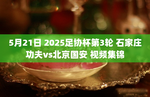 5月21日 2025足协杯第3轮 石家庄功夫vs北京国安 视频集锦