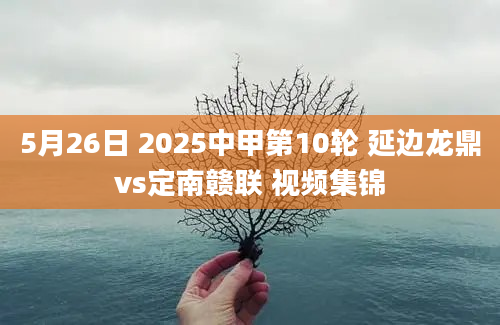 5月26日 2025中甲第10轮 延边龙鼎vs定南赣联 视频集锦