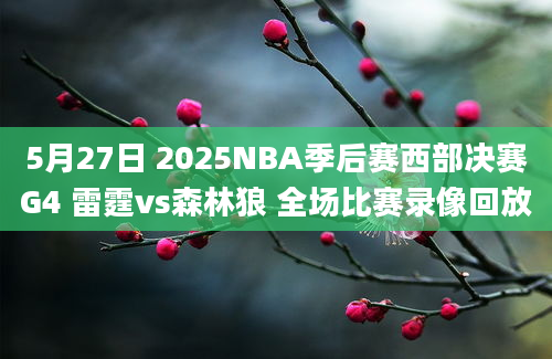 5月27日 2025NBA季后赛西部决赛G4 雷霆vs森林狼 全场比赛录像回放