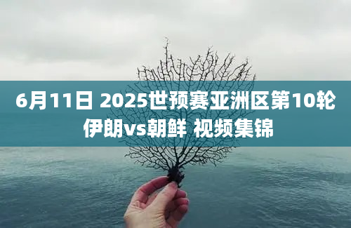 6月11日 2025世预赛亚洲区第10轮 伊朗vs朝鲜 视频集锦