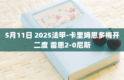 5月11日 2025法甲-卡里姆恩多梅开二度 雷恩2-0尼斯