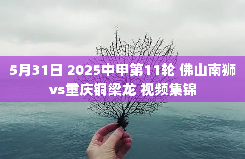 5月31日 2025中甲第11轮 佛山南狮vs重庆铜梁龙 视频集锦