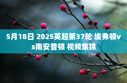 5月18日 2025英超第37轮 埃弗顿vs南安普顿 视频集锦