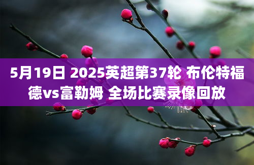 5月19日 2025英超第37轮 布伦特福德vs富勒姆 全场比赛录像回放