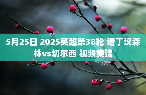 5月25日 2025英超第38轮 诺丁汉森林vs切尔西 视频集锦