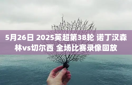 5月26日 2025英超第38轮 诺丁汉森林vs切尔西 全场比赛录像回放