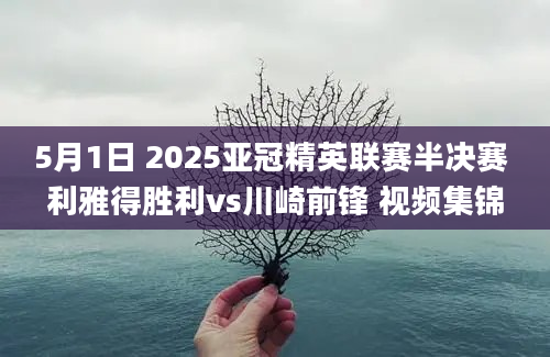 5月1日 2025亚冠精英联赛半决赛 利雅得胜利vs川崎前锋 视频集锦