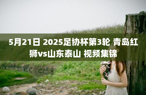 5月21日 2025足协杯第3轮 青岛红狮vs山东泰山 视频集锦