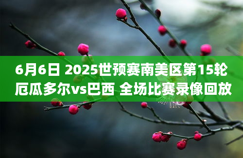 6月6日 2025世预赛南美区第15轮 厄瓜多尔vs巴西 全场比赛录像回放