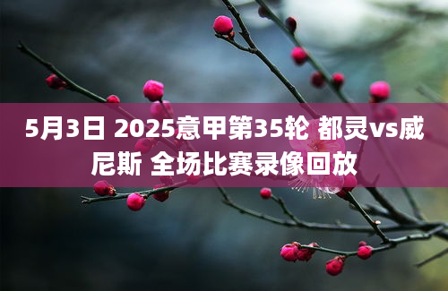 5月3日 2025意甲第35轮 都灵vs威尼斯 全场比赛录像回放