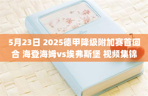 5月23日 2025德甲降级附加赛首回合 海登海姆vs埃弗斯堡 视频集锦