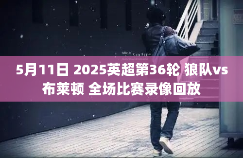 5月11日 2025英超第36轮 狼队vs布莱顿 全场比赛录像回放