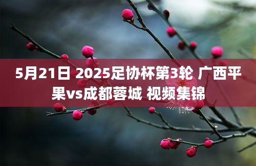 5月21日 2025足协杯第3轮 广西平果vs成都蓉城 视频集锦