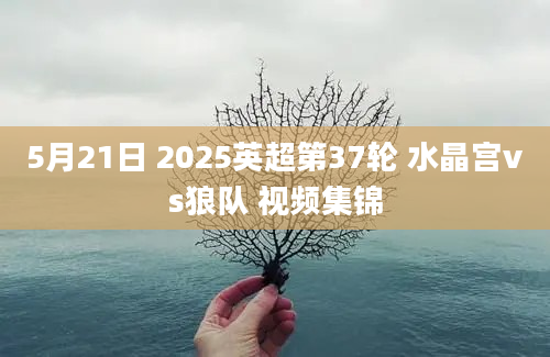 5月21日 2025英超第37轮 水晶宫vs狼队 视频集锦