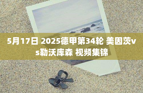 5月17日 2025德甲第34轮 美因茨vs勒沃库森 视频集锦