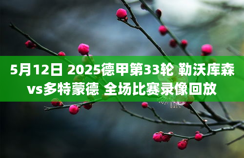 5月12日 2025德甲第33轮 勒沃库森vs多特蒙德 全场比赛录像回放
