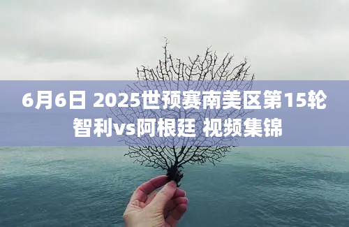 6月6日 2025世预赛南美区第15轮 智利vs阿根廷 视频集锦