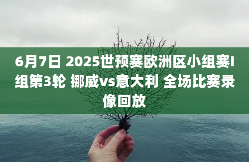 6月7日 2025世预赛欧洲区小组赛I组第3轮 挪威vs意大利 全场比赛录像回放