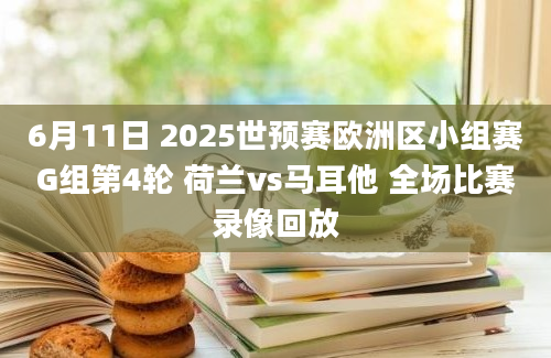 6月11日 2025世预赛欧洲区小组赛G组第4轮 荷兰vs马耳他 全场比赛录像回放
