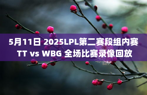 5月11日 2025LPL第二赛段组内赛 TT vs WBG 全场比赛录像回放