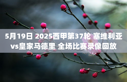 5月19日 2025西甲第37轮 塞维利亚vs皇家马德里 全场比赛录像回放