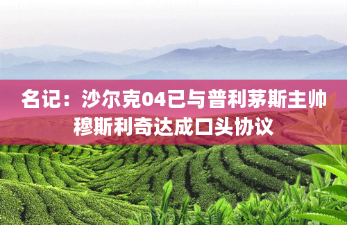 名记：沙尔克04已与普利茅斯主帅穆斯利奇达成口头协议