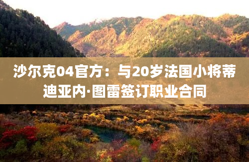 沙尔克04官方：与20岁法国小将蒂迪亚内·图雷签订职业合同