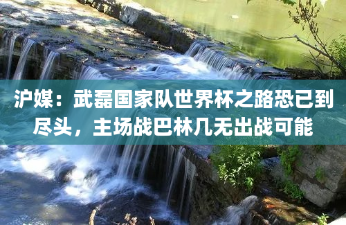 沪媒：武磊国家队世界杯之路恐已到尽头，主场战巴林几无出战可能