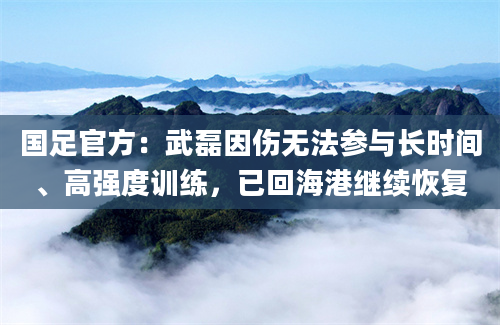 国足官方：武磊因伤无法参与长时间、高强度训练，已回海港继续恢复