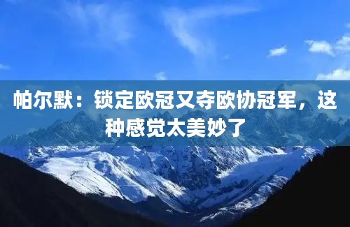 帕尔默：锁定欧冠又夺欧协冠军，这种感觉太美妙了