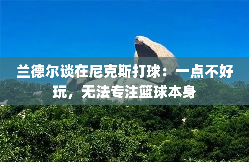 兰德尔谈在尼克斯打球：一点不好玩，无法专注篮球本身