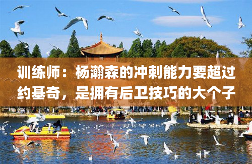 训练师：杨瀚森的冲刺能力要超过约基奇，是拥有后卫技巧的大个子