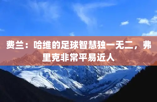 费兰：哈维的足球智慧独一无二，弗里克非常平易近人