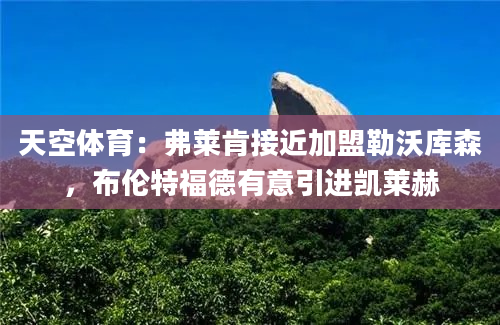 天空体育：弗莱肯接近加盟勒沃库森，布伦特福德有意引进凯莱赫