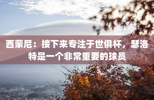 西蒙尼：接下来专注于世俱杯，瑟洛特是一个非常重要的球员