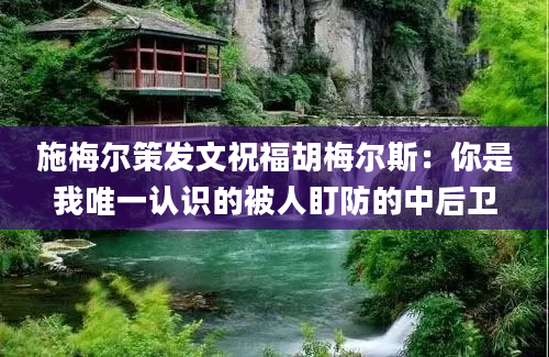 施梅尔策发文祝福胡梅尔斯：你是我唯一认识的被人盯防的中后卫