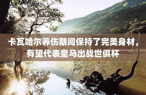 卡瓦哈尔养伤期间保持了完美身材，有望代表皇马出战世俱杯