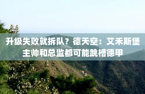 升级失败就拆队？德天空：艾禾斯堡主帅和总监都可能跳槽德甲