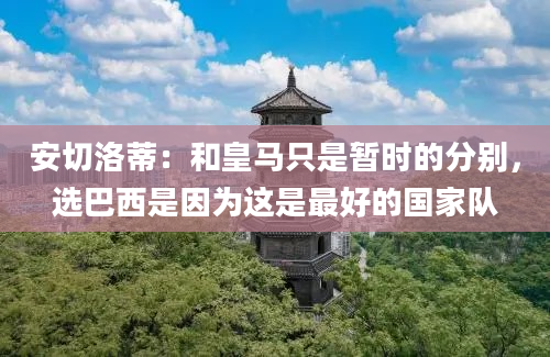 安切洛蒂：和皇马只是暂时的分别，选巴西是因为这是最好的国家队