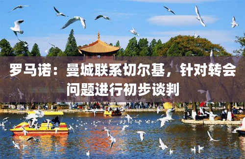 罗马诺:曼城联系切尔基,针对转会问题进行初步谈判