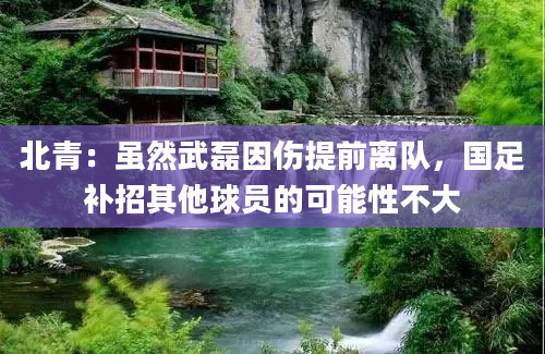 北青：虽然武磊因伤提前离队，国足补招其他球员的可能性不大