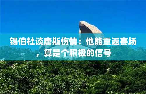 锡伯杜谈唐斯伤情：他能重返赛场，算是个积极的信号
