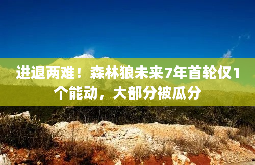 进退两难！森林狼未来7年首轮仅1个能动，大部分被瓜分