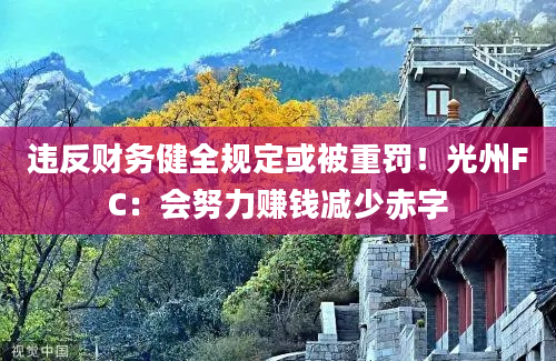 违反财务健全规定或被重罚！光州FC：会努力赚钱减少赤字