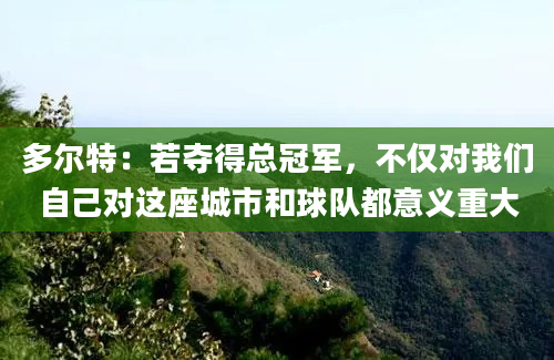 多尔特：若夺得总冠军，不仅对我们自己对这座城市和球队都意义重大